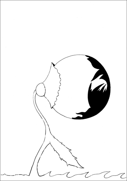 drawing-6