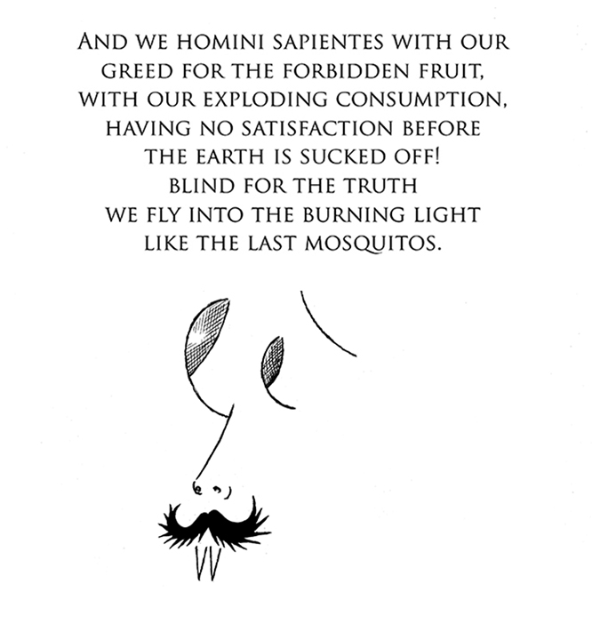 morgenvogel