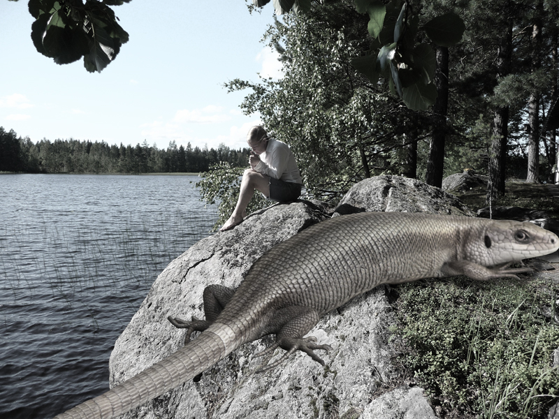 The Keihärinkoski Monster Lizard getting angry on Talvivaara